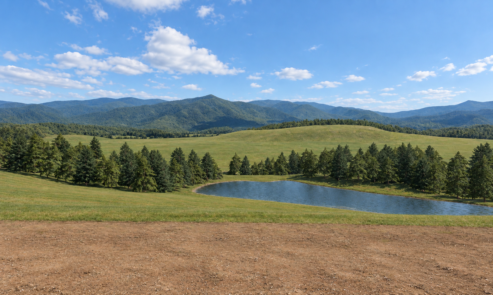 pond-outlook: Approved AI appearance target — NOT engine output