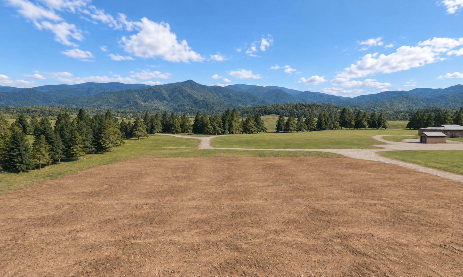 field-junction: Approved AI appearance target — NOT engine output