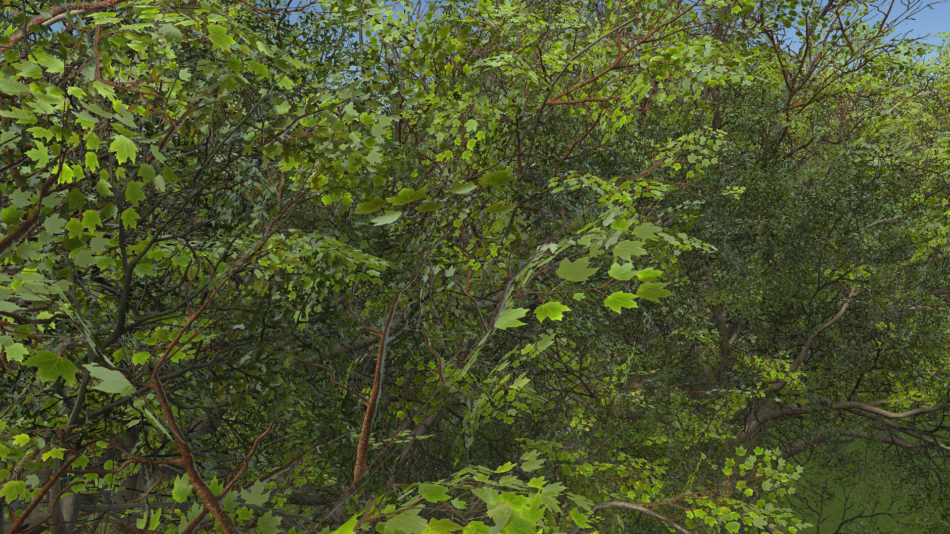 White Oak Canopy — actual Unity render