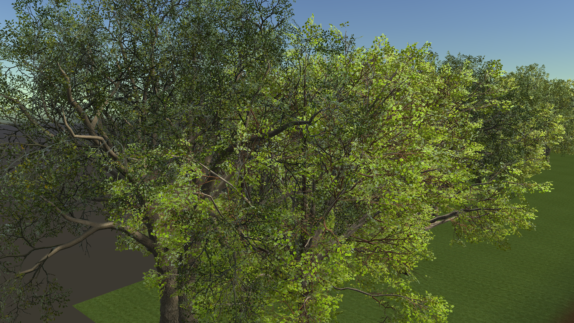 Sugar Maple Crown — actual Unity render