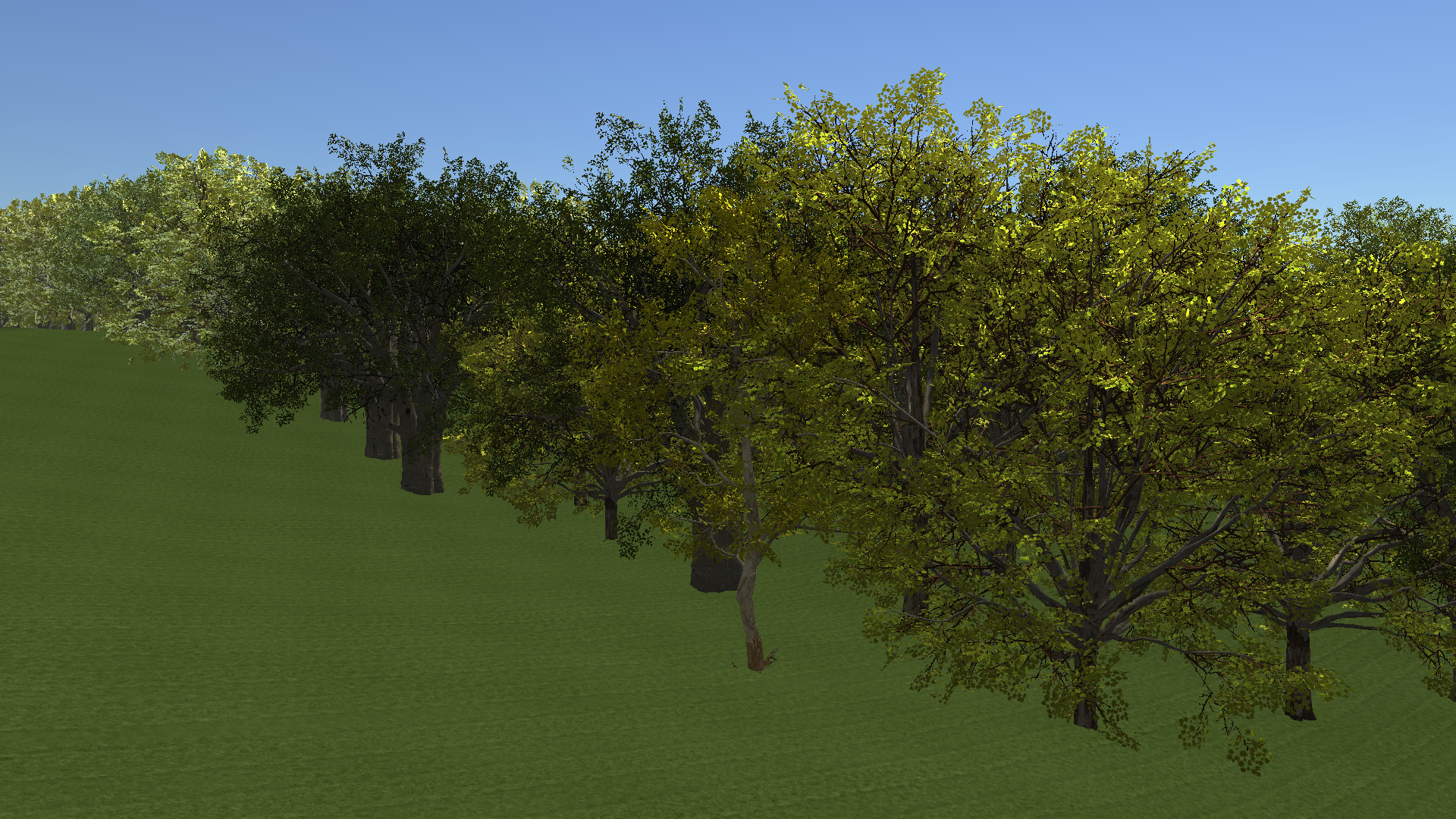 American Sycamore Grove — actual Unity render