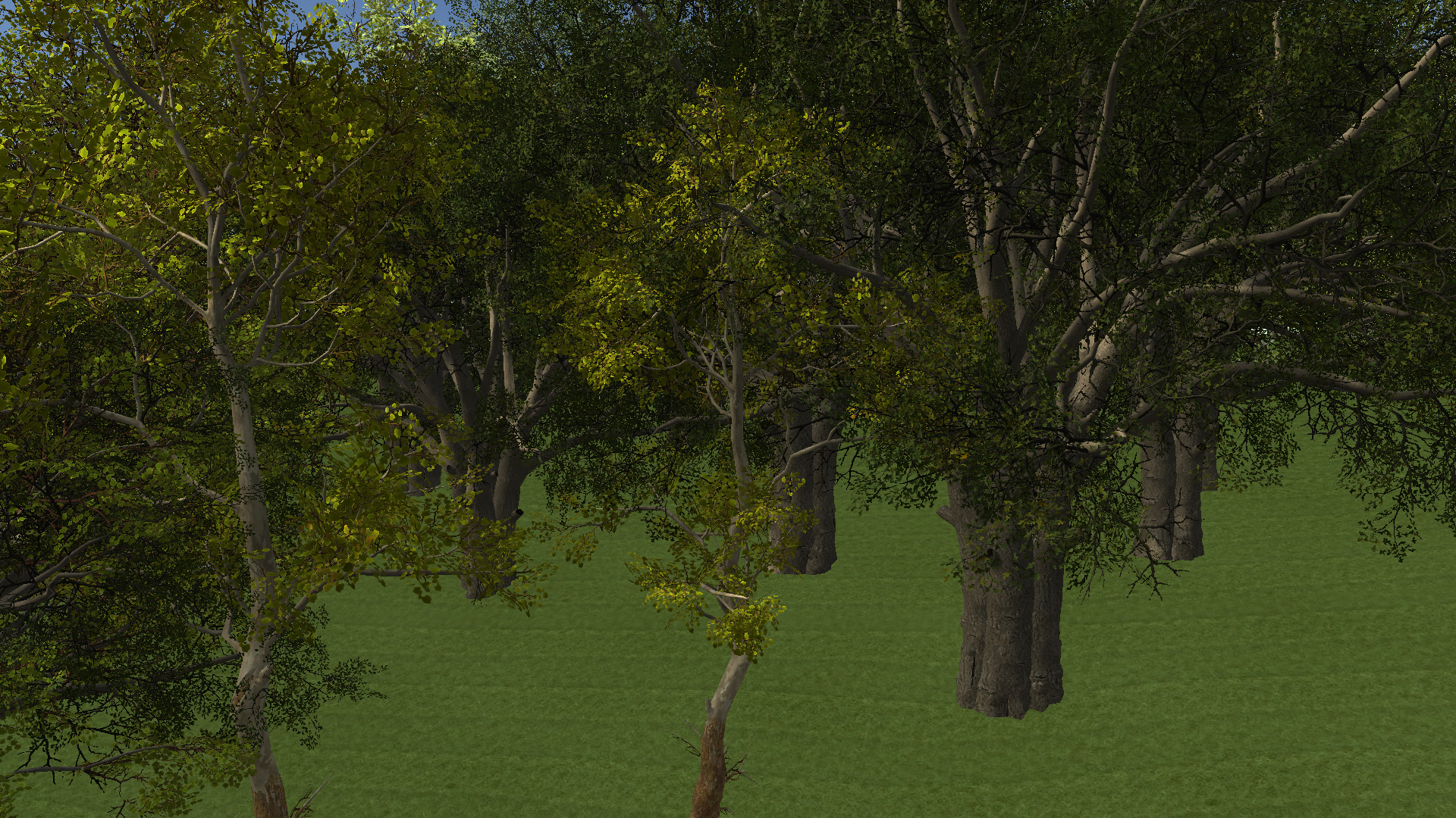 American Sycamore Branch Structure — actual Unity render