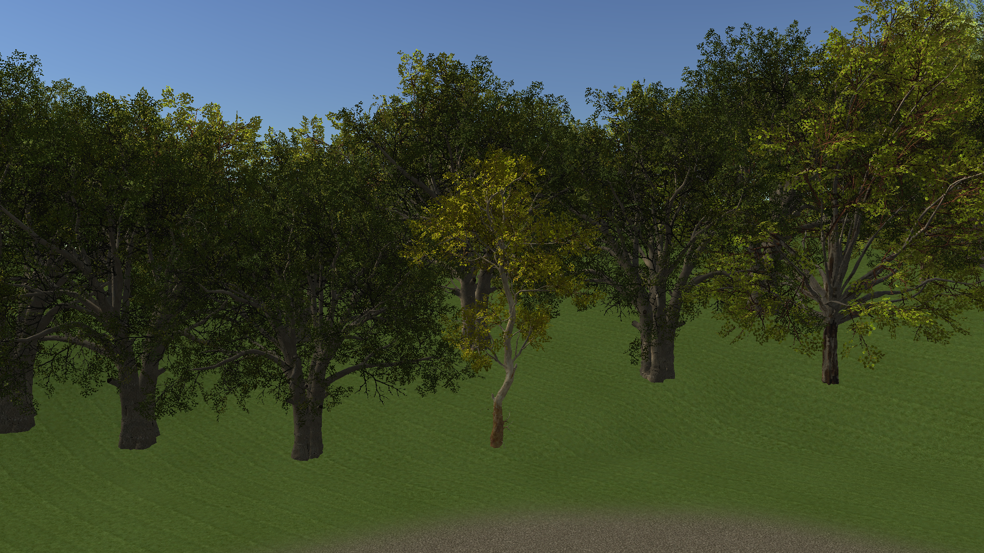 American Sycamore Lowland — actual Unity render