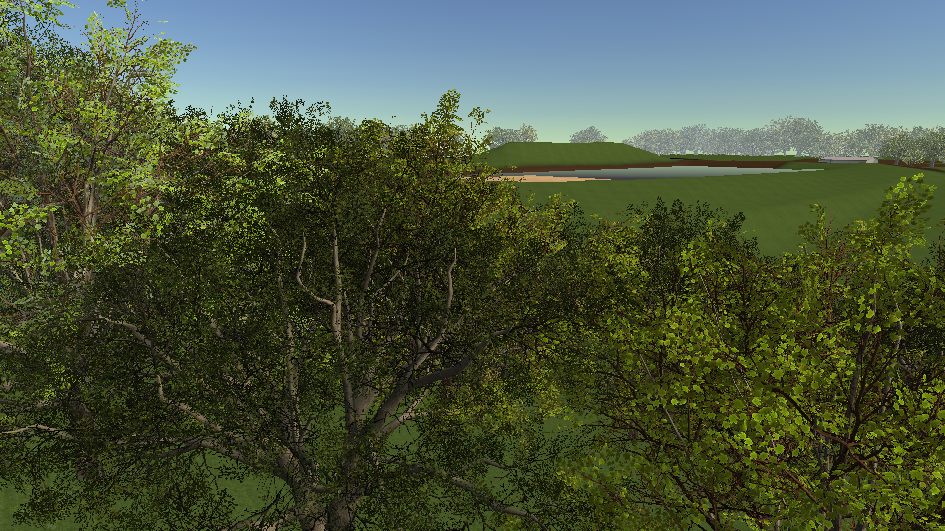 American Sycamore Landscape — actual Unity render