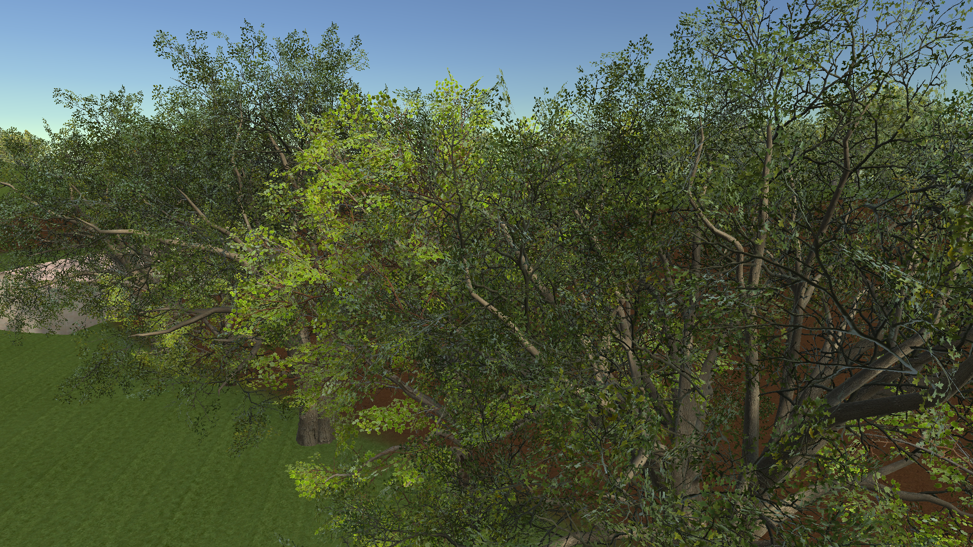 Mixed Canopy Detail — actual Unity render