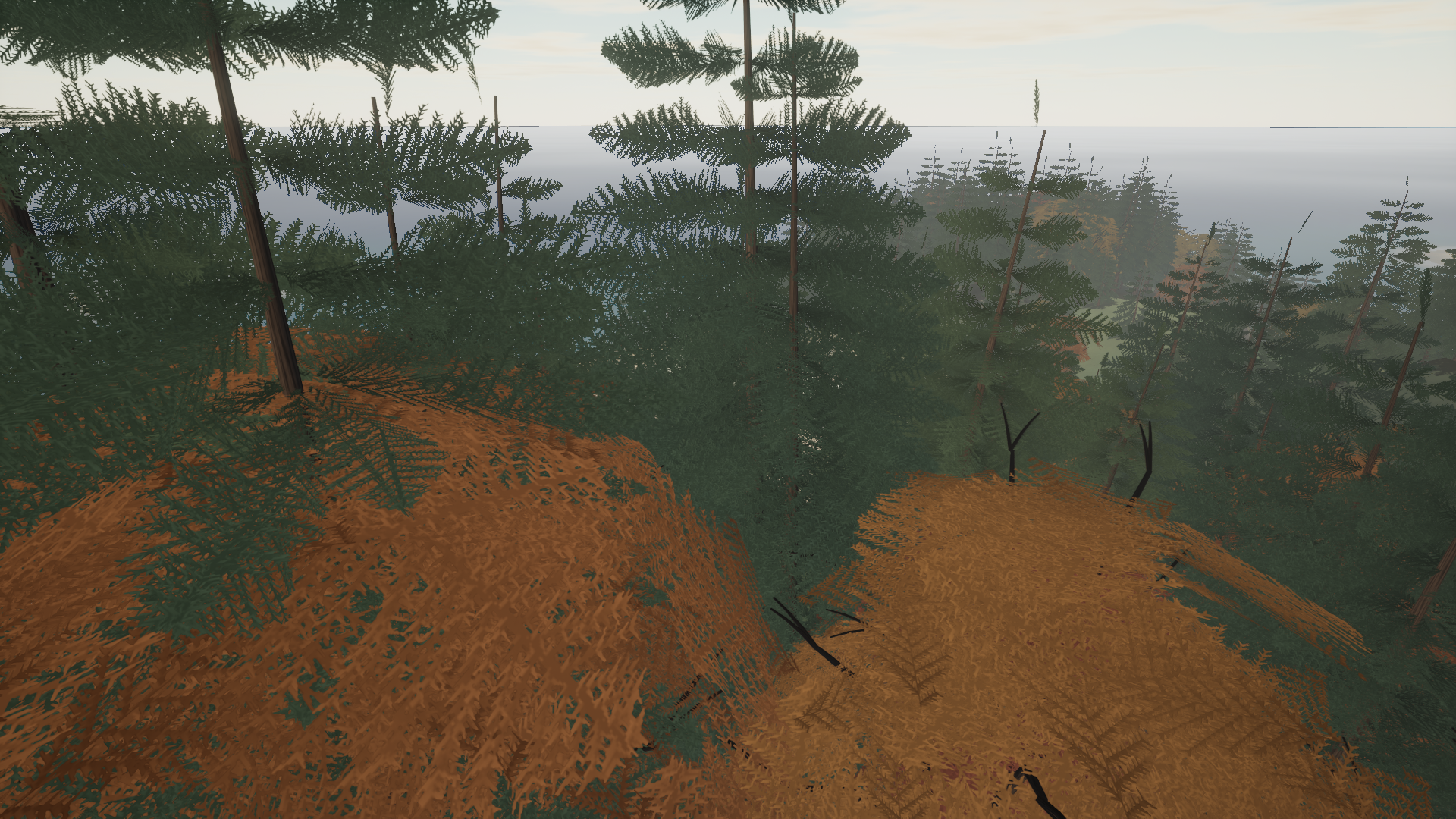 Ranger side: excluded game capture